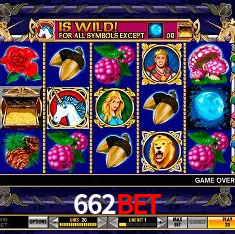 662bet Rio de Janeiro - Bonus Terms